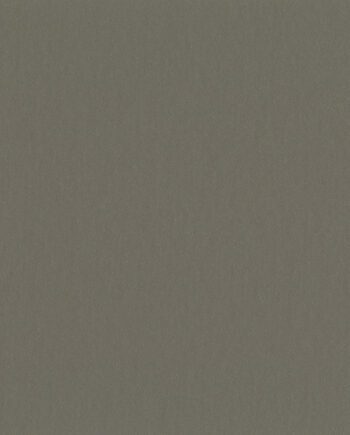 Linoleum Gerflor Uni Walton 0058 Clay Grey