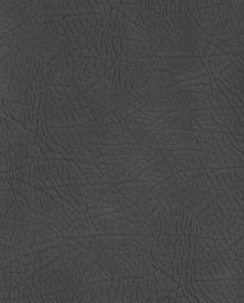 Lederboden Corium Umbra Ardesia