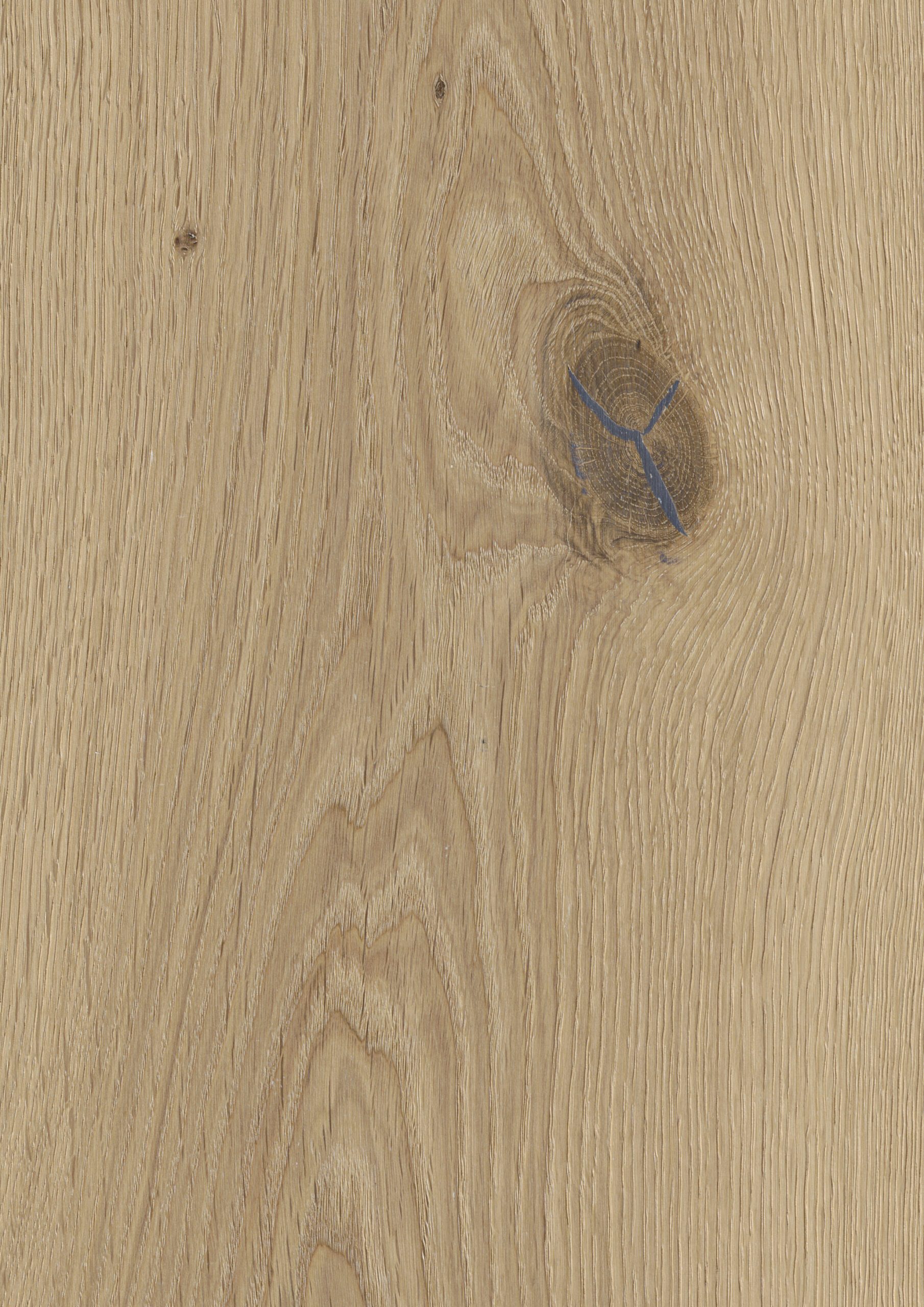 Parkett Boden Eiche Trinity Rustical gefast gebürstet weiß geölt 305mm