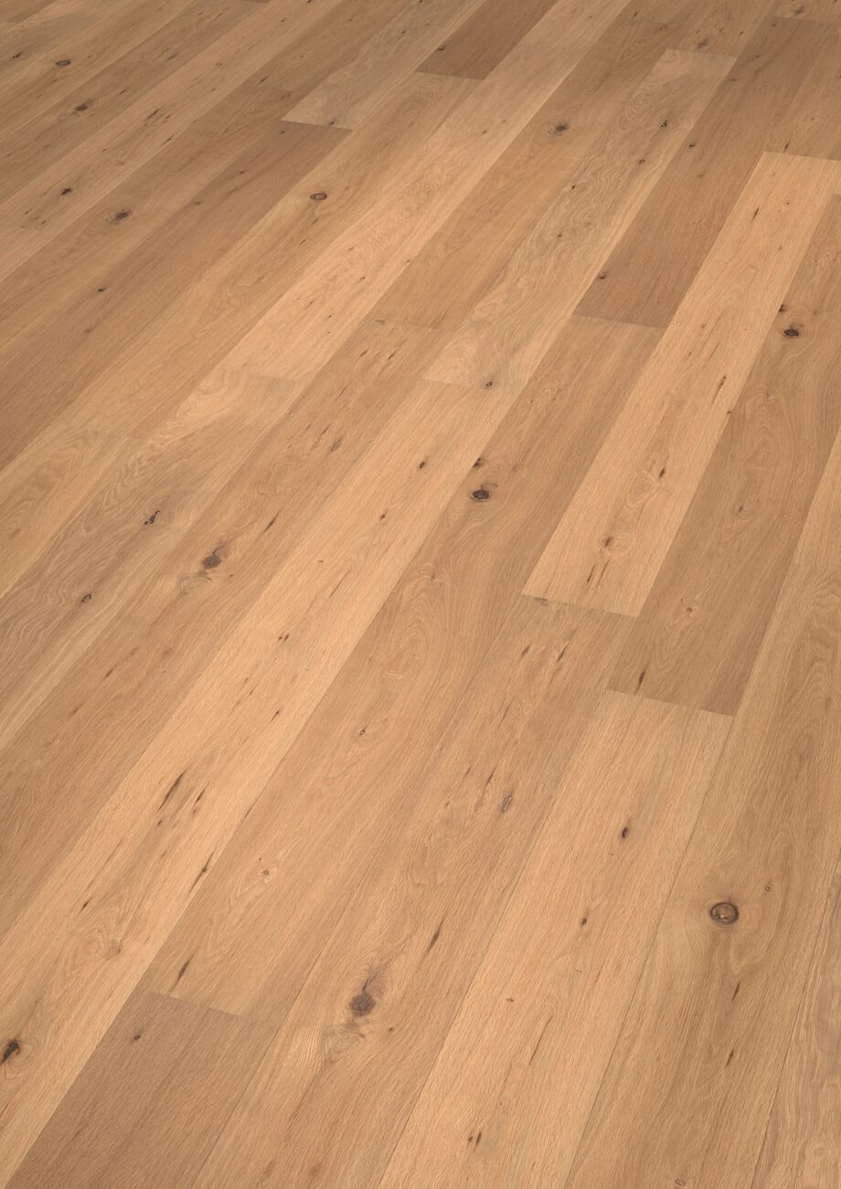 Aqsis Renderer, 2226 secs rendertime Aqsis Renderer, 2226 secs rendertime