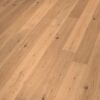 Aqsis Renderer, 2226 secs rendertime Aqsis Renderer, 2226 secs rendertime