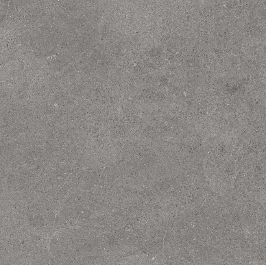 laatat-tau-serenastone-gray-60×60
