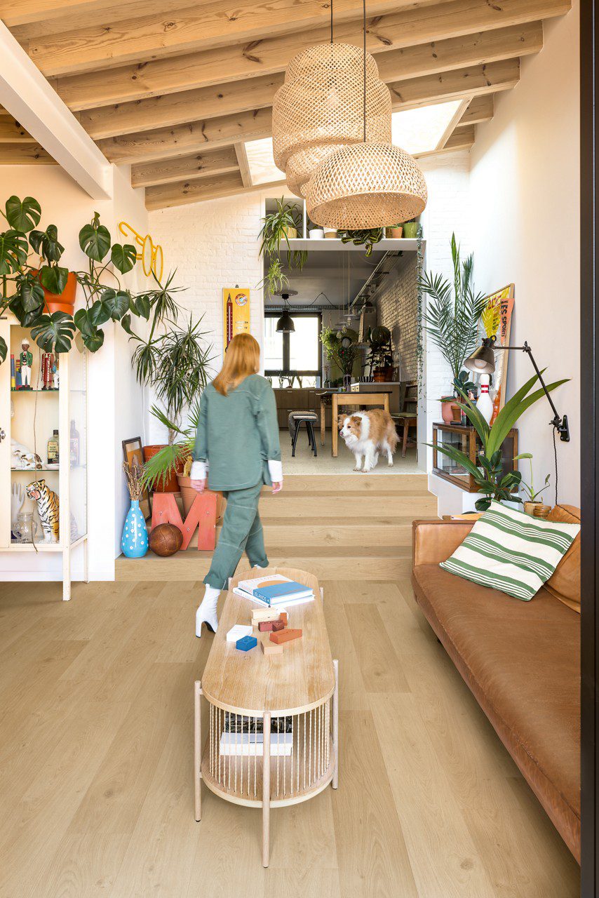 Vinyylilattia Quick Step Blos Coast Tammi Beige asennettuna olohuoneen lattialle ja huoneita erottavalle matalalle portaalle, vaalea hiekanbeige tammen sävy ja lankkulattia tammi, nainen kävelee portaita ylös ja koira odottaa häntä.