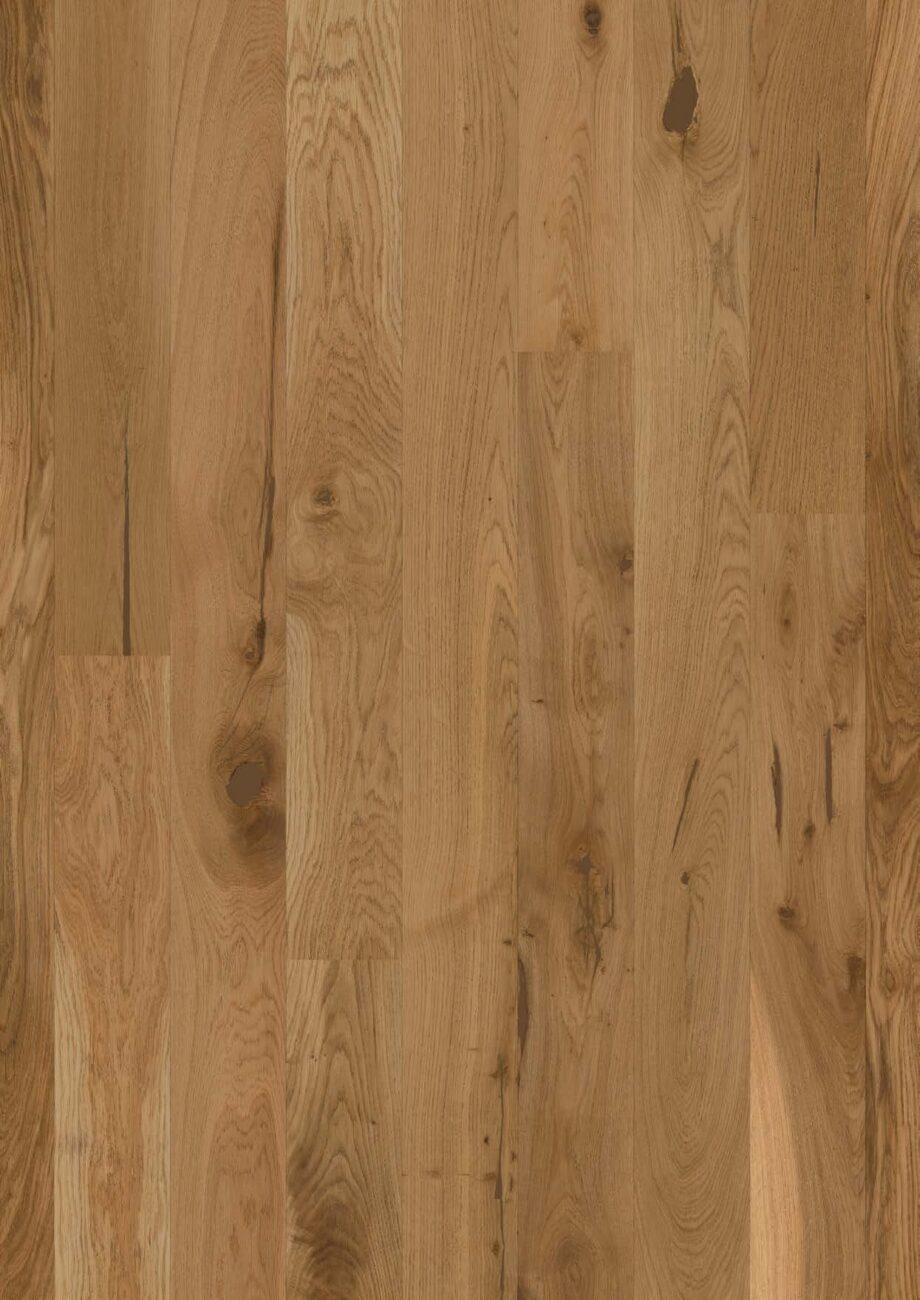 Parkett Bauwerk Casapark Budget Cut tamm 56 harjatud matt lakk 138mm laiune laud tugevalt rustikaalse sorteeringuga ja naturaalse tamme tooniga.
