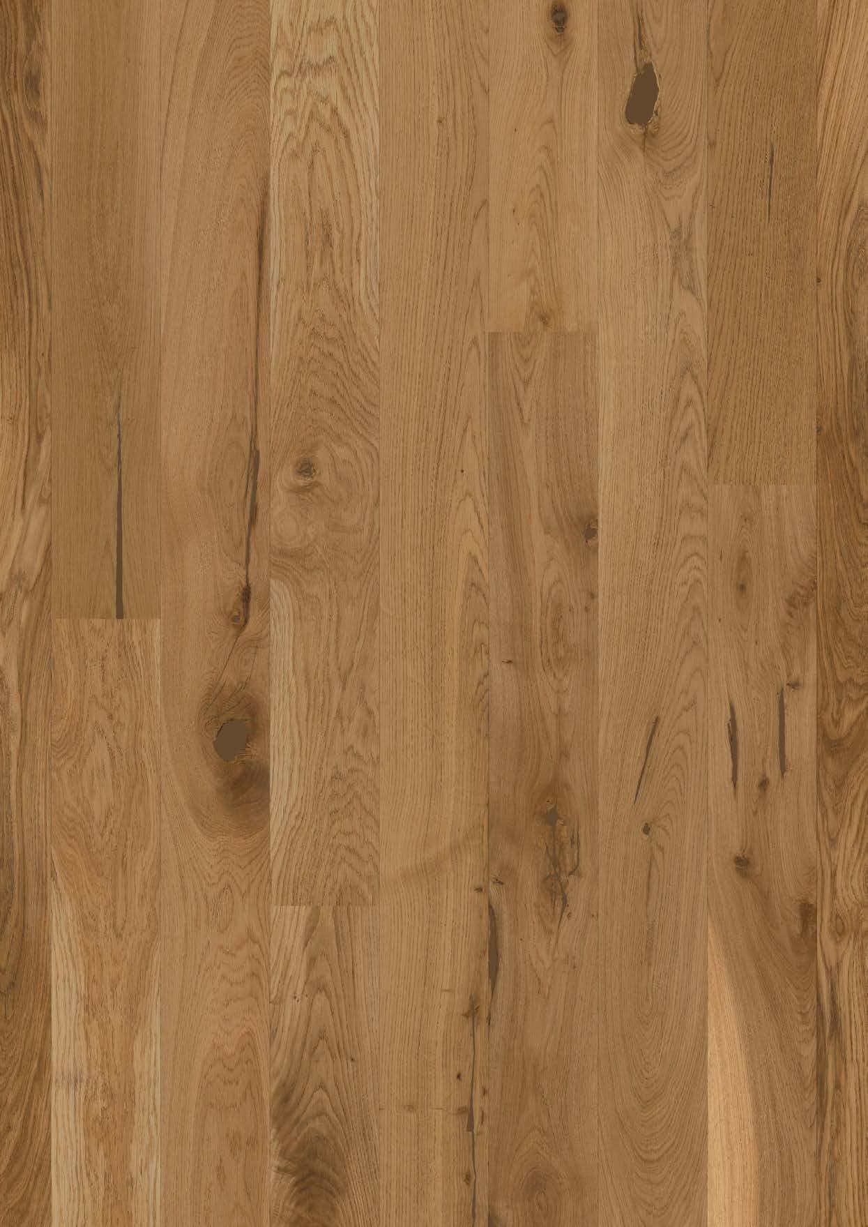 Parkett Bauwerk Casapark Budget Cut tamm 56 harjatud matt lakk 138mm laiune laud tugevalt rustikaalse sorteeringuga ja naturaalse tamme tooniga.