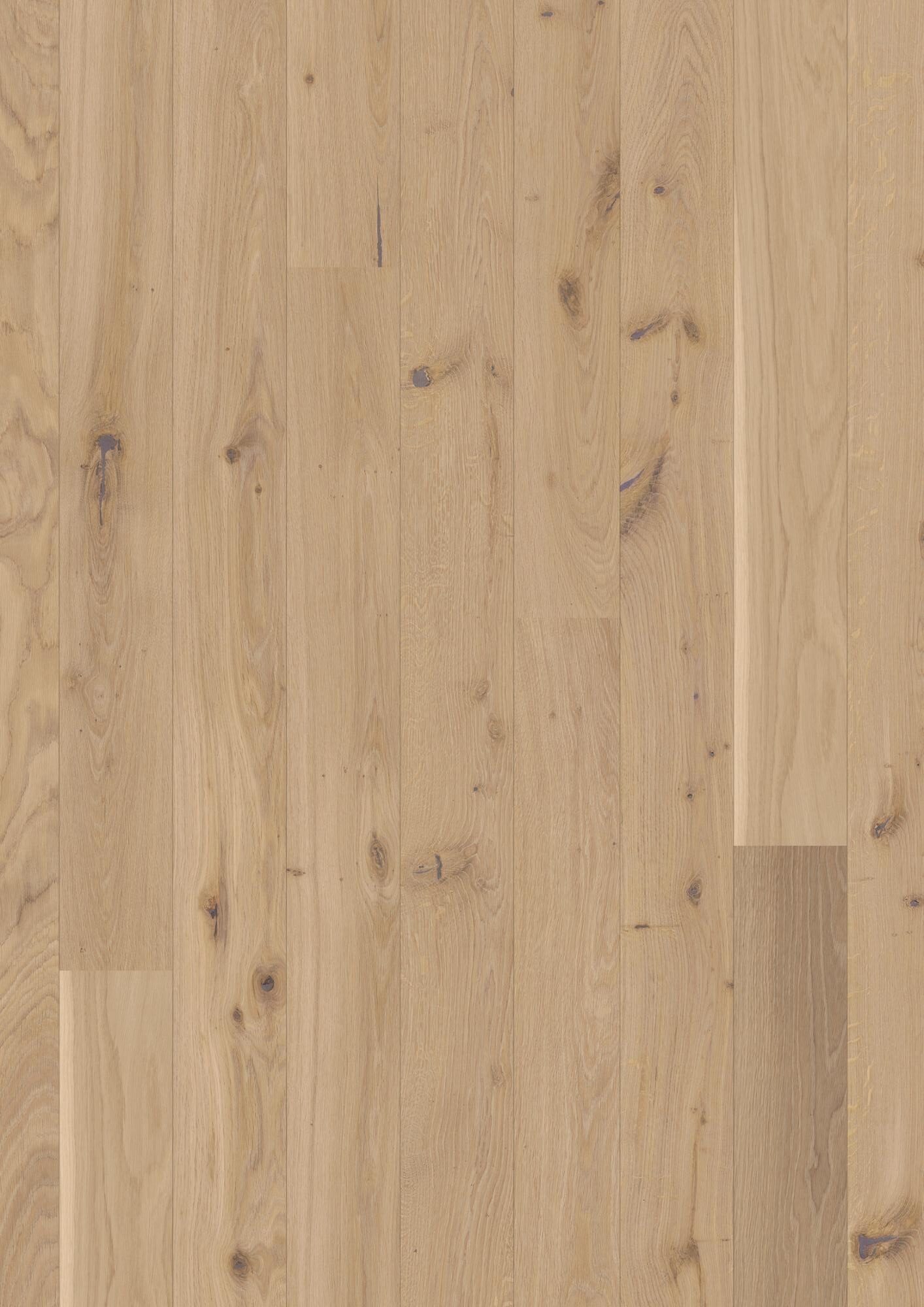 Parkett tamm Bauwerk Casapark 46 Crema faasitud, harjatud ja Bprotect ultra mattlakiga lakitud. Heleda tooniga ja rustikaalse sorteeringuga parkett.