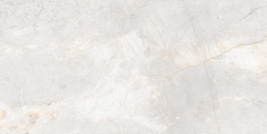 004.869.0183.08901-1 Polierte Bodenfliese aus Feinsteinzeug in Steinoptik Tau Mainstone Silver Pol, 60x120 cm, 10,5 mm, Silbergrau, rektifiziert