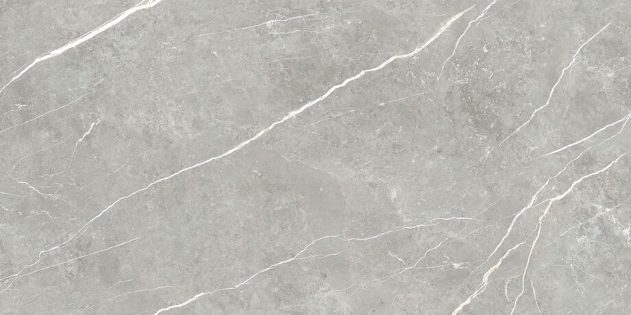 004.869.0368.07981-1 Polierte Bodenfliese aus Feinsteinzeug in Marmoroptik Tau Elite Gray Pol, 60x120 cm, 10,5 mm, Grau, rektifiziert