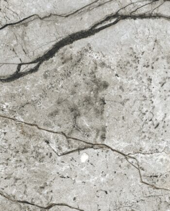 Matte Bodenfliese aus Feinsteinzeug in Marmoroptik Marble Skin Grey, 60x120 cm, 8 mm, Grau, R9