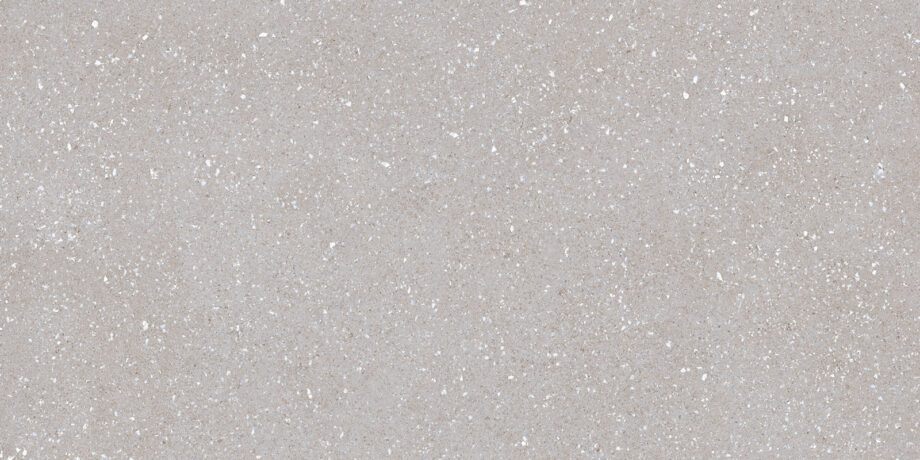 017.869.0183.14236-1 Matte Bodenfliese aus Feinsteinzeug in Terrazzo-Optik Tau Sassy Silver, 60x120 cm, 10,5 mm, Silbergrau, R10, rektifiziert