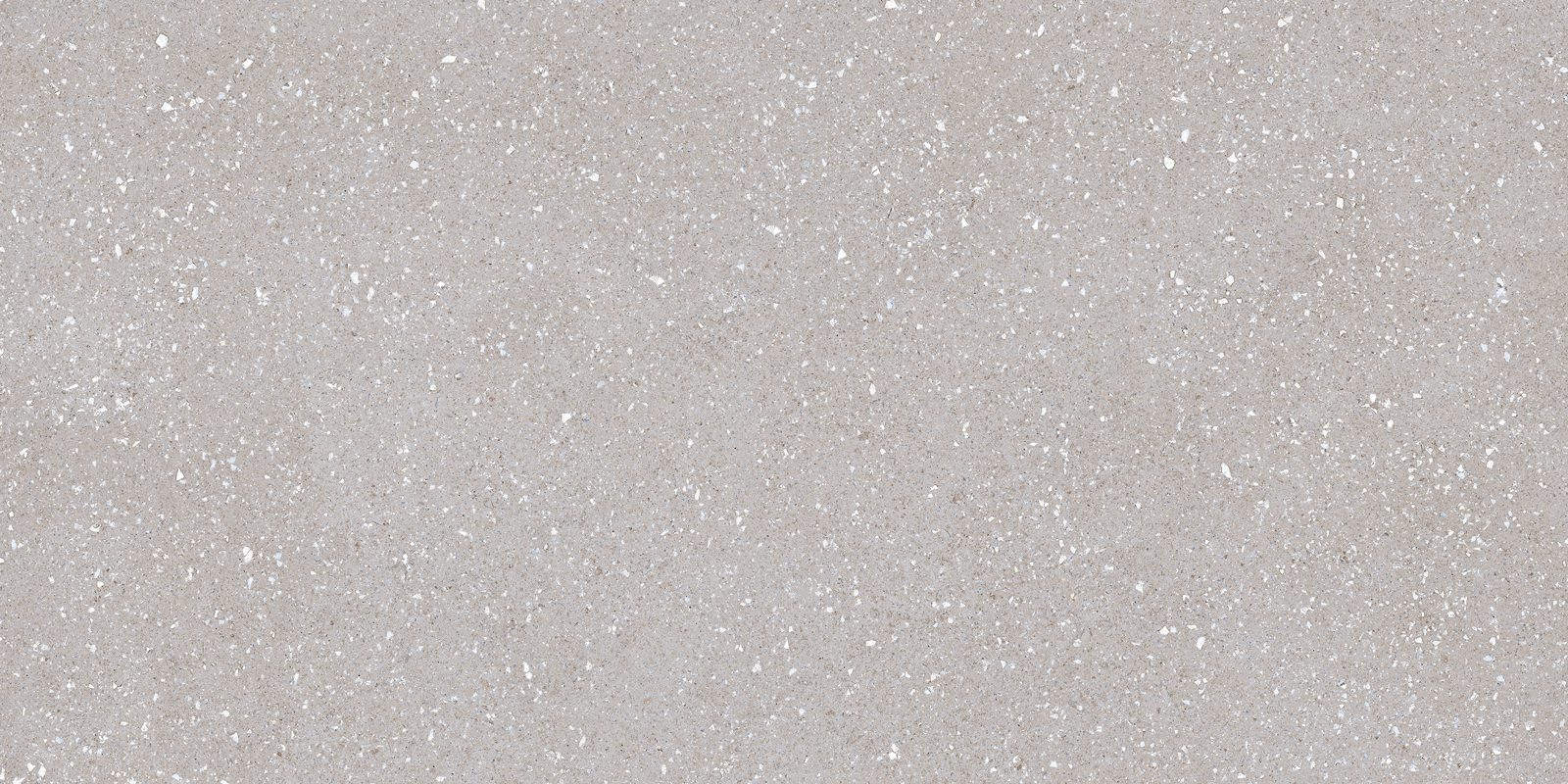 Matte Bodenfliese aus Feinsteinzeug in Terrazzo-Optik Tau Sassy Silver, 60x120 cm, 10,5 mm, Silbergrau, R10, rektifiziert