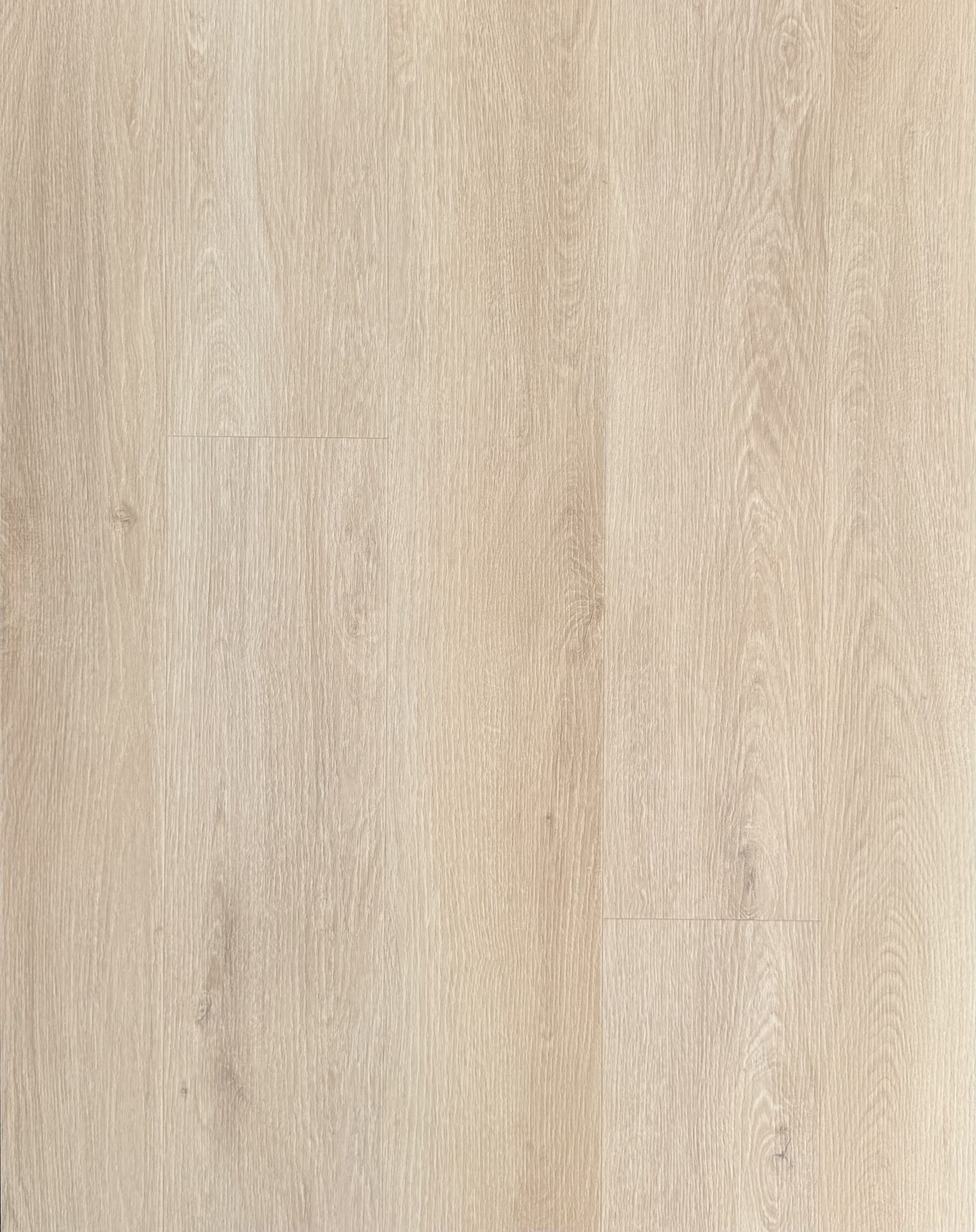 Wasserfeste SPC-Vinyldiele Eiche Nordic, 19,8x152,4 cm, 5,5 mm, mit integrierter Trittschalldämmung