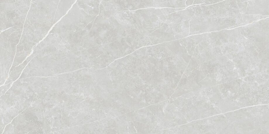 035.869.0183.09213-1 Matte Bodenfliese aus Feinsteinzeug in Marmoroptik Tau Elite Silver, 60x120 cm, 10,5 mm, Silbergrau, R10, rektifiziert