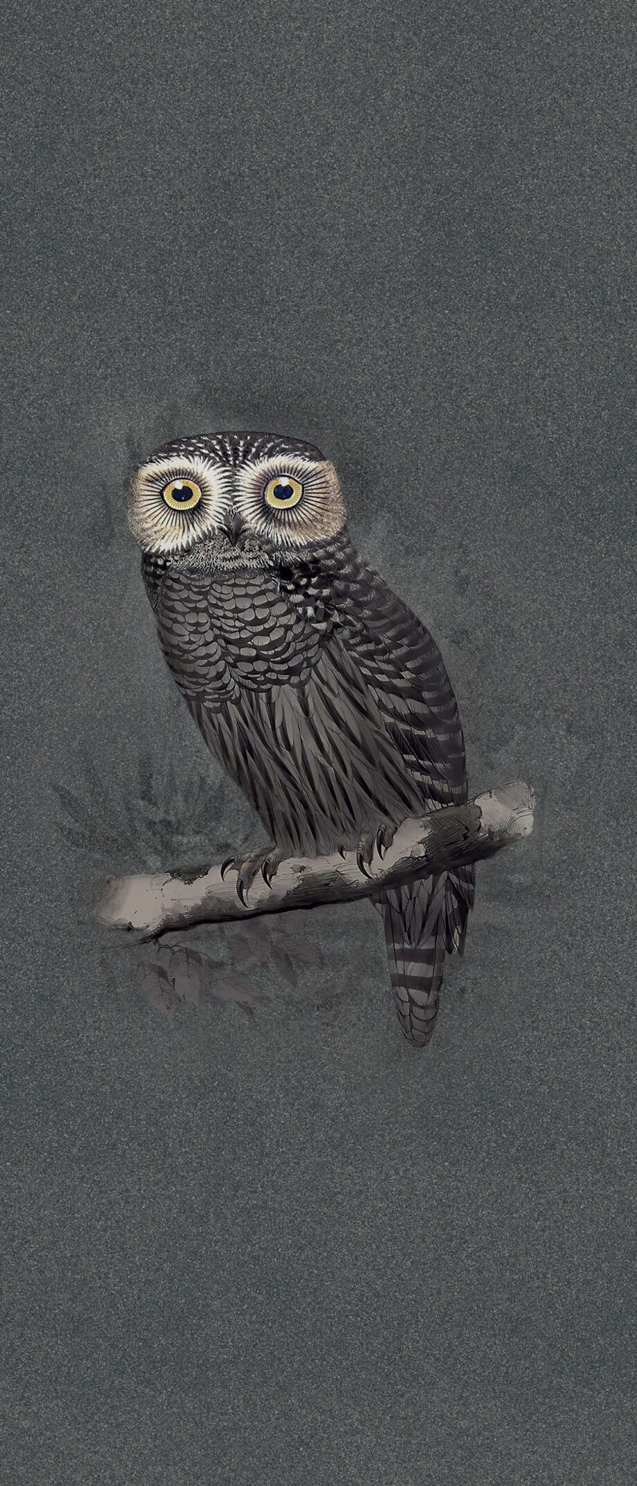 Gemustertes grossformatiges Feinsteinzeug Dekorpaneel ABK Moooi Special Edition Hypnotic Owl, 120x280 cm, 6 mm, natur matt