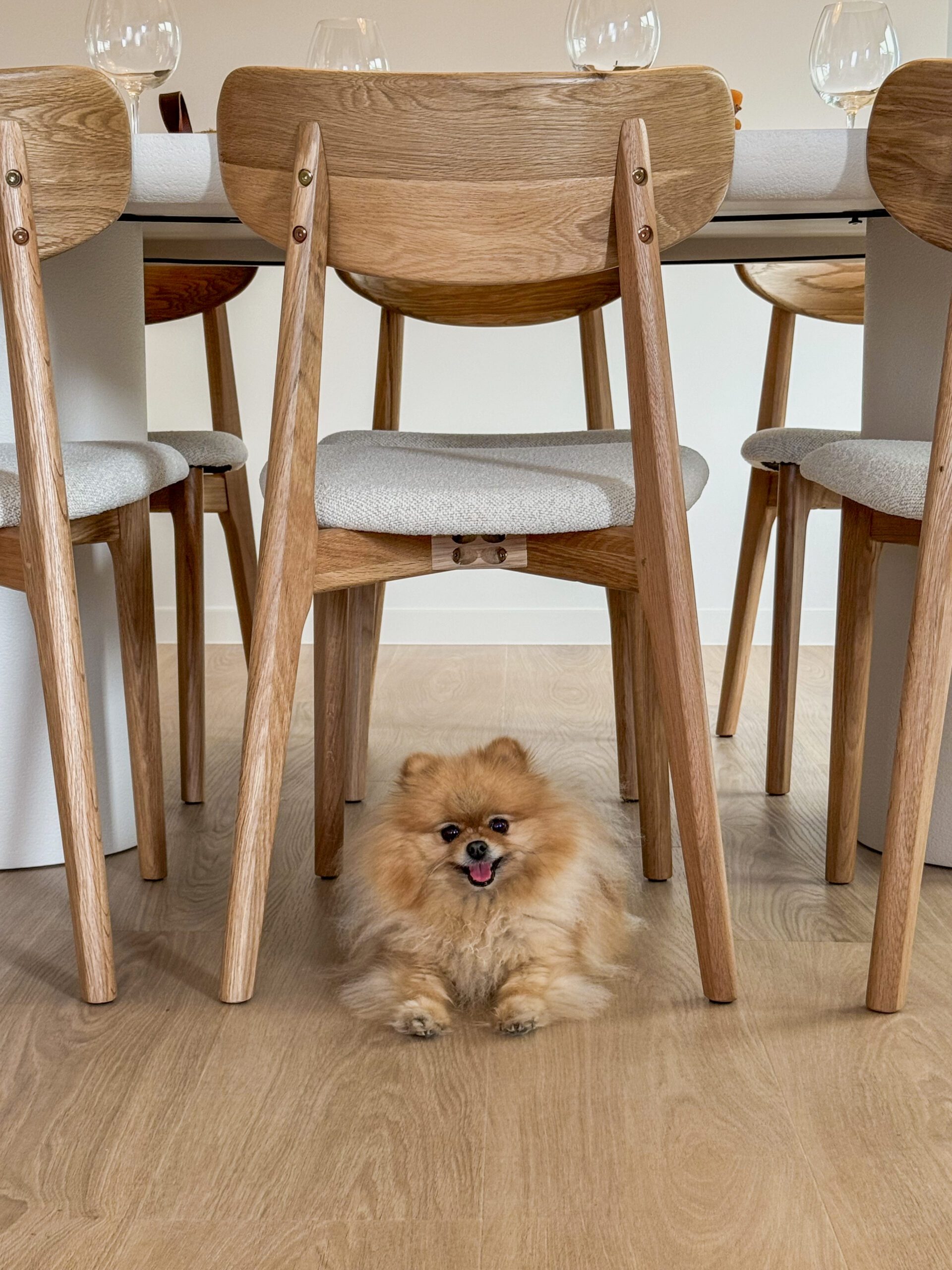 Liimitav vinüülparkett Floorify Gluedown Long Plank Paris Tan FG001