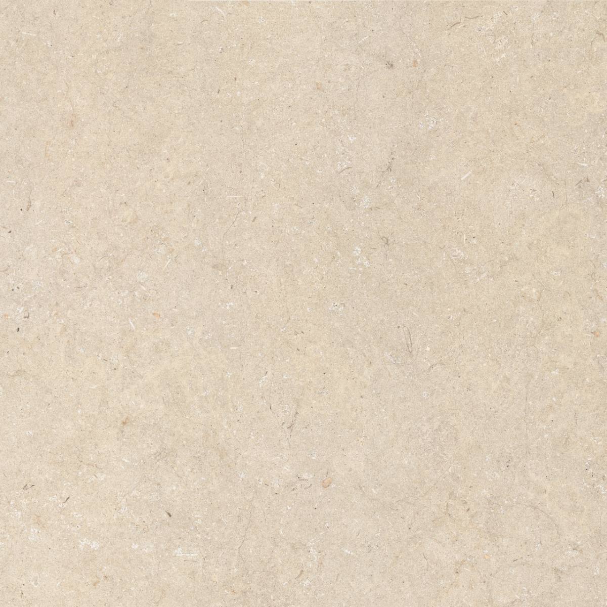 Feinsteinzeug Fliese in Steinoptik ABK Poetry Stone Trani Beige, 120x120 cm, 8,5 mm, strukturiert, rutschhemmend R11