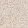 abk-psr-0017569-2 abk-psr-0017569-2