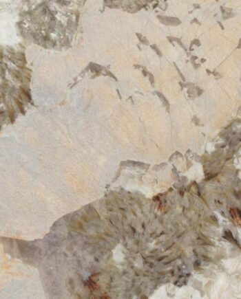 Fliesen in Marmoroptik ABK Sensi Nuance Patagonia Wow, 60x120 cm, 8,5 mm, natur matt, rutschhemmend R10