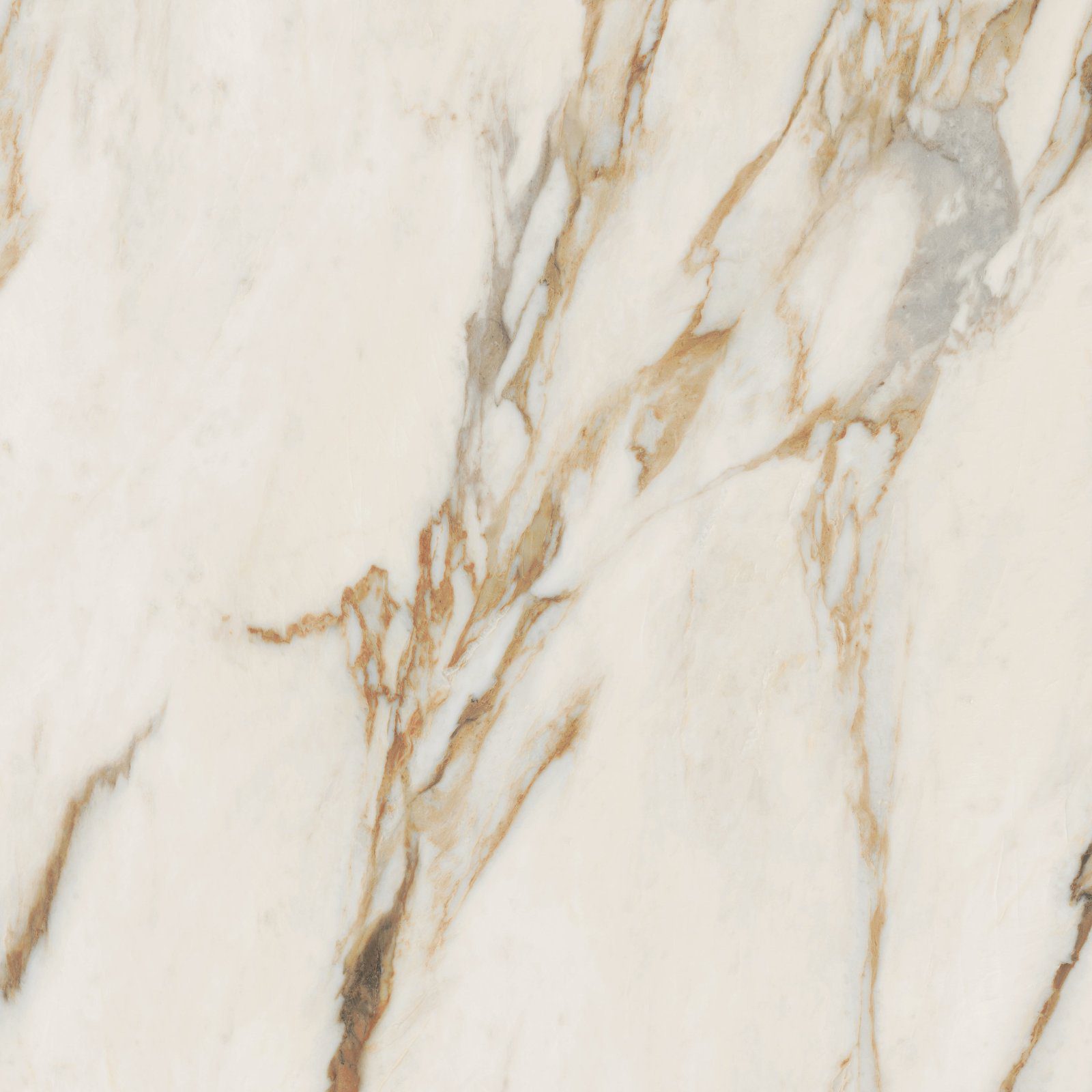 Feinsteinzeug in Marmoroptik ABK Sensi Signoria Calacatta Vena Oro, 120x120 cm, 8,5 mm, poliert (lux)