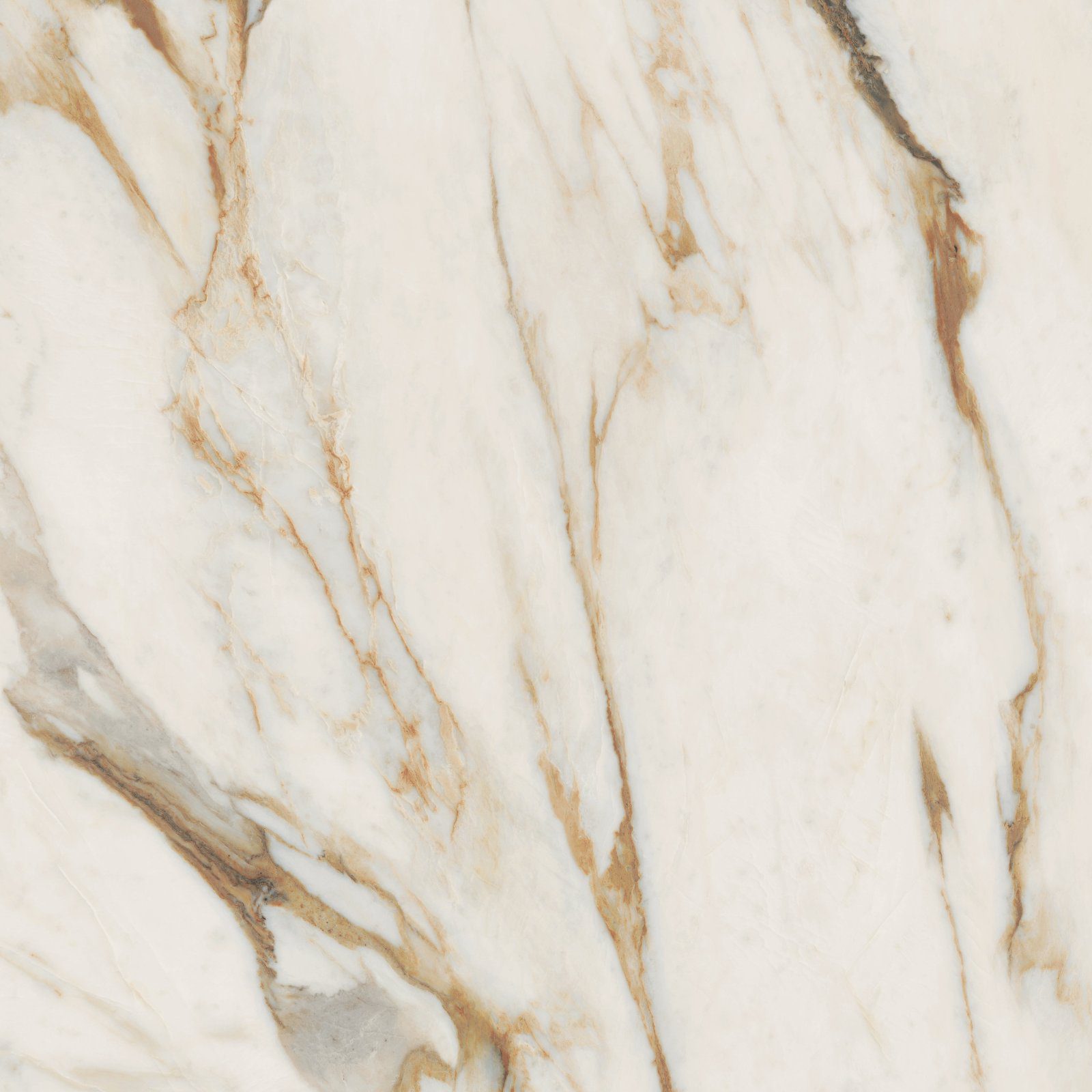 Feinsteinzeug in Marmoroptik ABK Sensi Signoria Calacatta Vena Oro, 120x120 cm, 8,5 mm, poliert (lux)