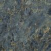 abk-sensi-signoria-0010390_1