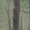 abk-wsod-0001874-1 abk-wsod-0001874-1