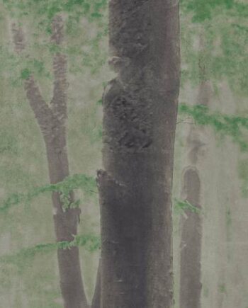 Gemusterte Dekorfliese ABK Wide&Style Woods A, 120x240 cm (4 x 60x120 cm), 8,5 mm, matt