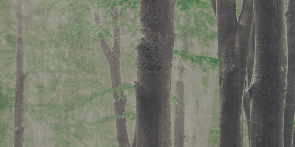 Gemusterte Dekorfliese ABK Wide&Style Woods A, 120x240 cm (4 x 60x120 cm), 8,5 mm, matt