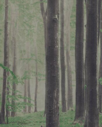 Gemusterte Dekor-Grossformatplatte ABK Wide&Style Woods A, 160x320 cm, 6 mm, matt