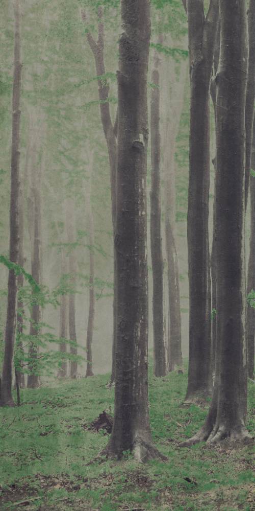 Gemusterte Dekor-Grossformatplatte ABK Wide&Style Woods A, 160x320 cm, 6 mm, matt