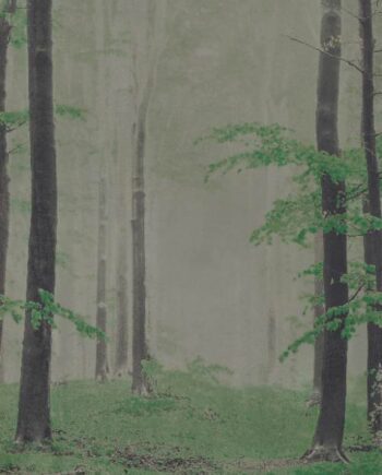 Gemusterte Dekor-Grossformatplatte ABK Wide&Style Woods B, 160x320 cm, 6 mm, matt