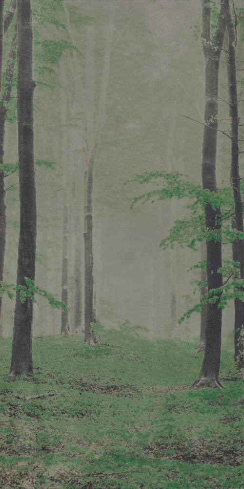 Gemusterte Dekor-Grossformatplatte ABK Wide&Style Woods B, 160x320 cm, 6 mm, matt