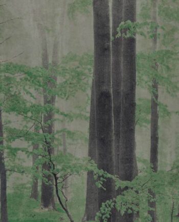 Gemusterte Dekor-Grossformatplatte ABK Wide&Style Woods C, 160x320 cm, 6 mm, matt