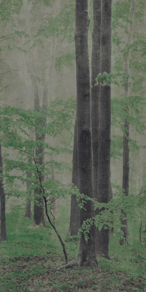 Gemusterte Dekor-Grossformatplatte ABK Wide&Style Woods C, 160x320 cm, 6 mm, matt