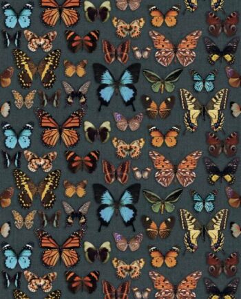 Gemusterte Dekor-Grossformatplatte ABK Wide&Style Papillon, 160x320 cm, 6 mm, matt
