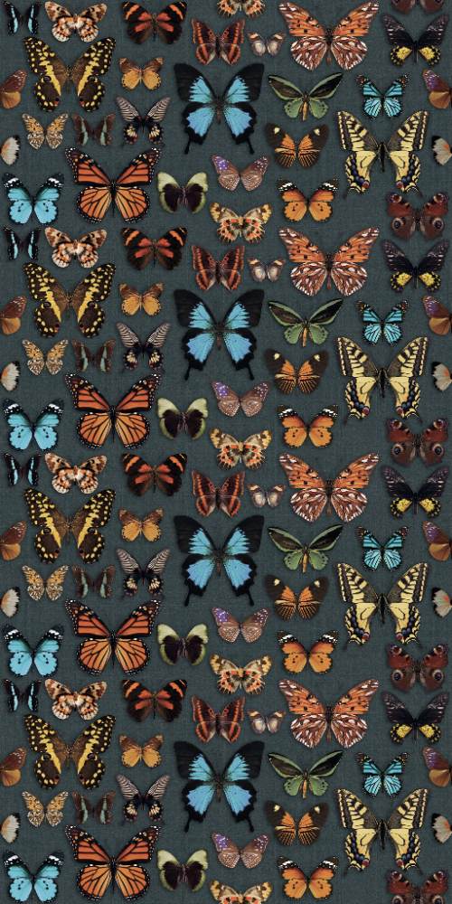 Gemusterte Dekor-Grossformatplatte ABK Wide&Style Papillon, 160x320 cm, 6 mm, matt