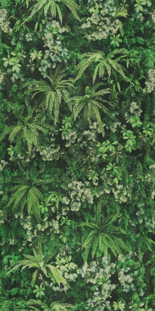 Gemusterte Dekor-Grossformatplatte ABK Wide&Style Secret Garden, 160x320 cm, 6 mm, matt