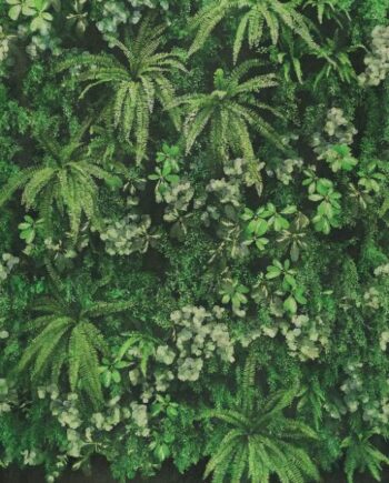 Gemusterte Dekor-Grossformatplatte ABK Wide&Style Secret Garden Wall, 160x320 cm, 6 mm, matt