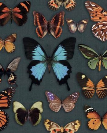 Gemusterte Dekorfliese ABK Wide&Style Papillon, 60x120 cm, 8,5 mm, matt