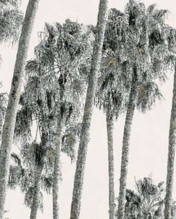 Gemusterte Dekorfliese ABK Wide&Style Hollywood B, 120x240 cm (4 x 60x120 cm), 8,5 mm, matt