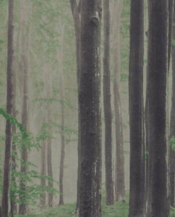 Gemusterte Dekor-Grossformatplatte ABK Wide&Style Woods A, 120x280 cm, 6 mm, matt
