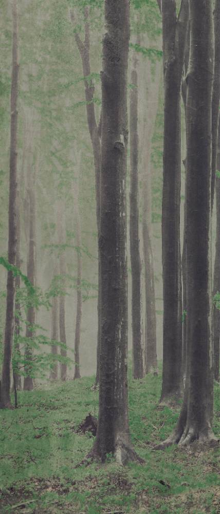 Gemusterte Dekor-Grossformatplatte ABK Wide&Style Woods A, 120x280 cm, 6 mm, matt