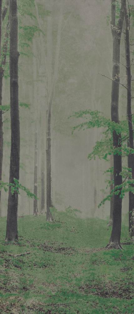 Gemusterte Dekor-Grossformatplatte ABK Wide&Style Woods B, 120x280 cm, 6 mm, matt