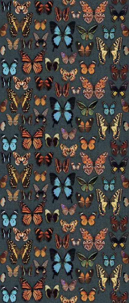 Gemusterte Dekor-Grossformatplatte ABK Wide&Style Papillon, 120x280 cm, 6 mm, matt