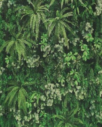 Gemusterte Dekor-Grossformatplatte ABK Wide&Style Secret Garden, 120x280 cm, 6 mm, matt