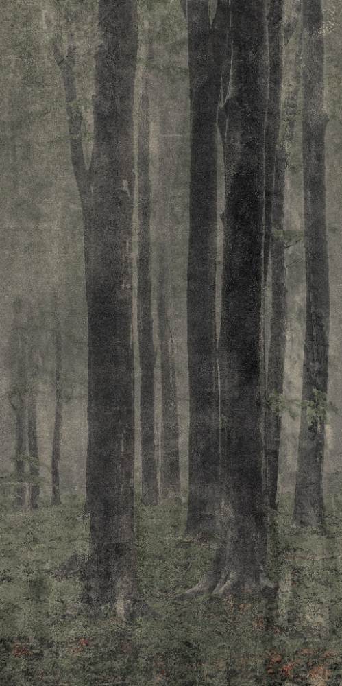 Gemusterte Dekor-Grossformatplatte ABK Wide&Style Woods, 120x240 cm, 6 mm, matt – 2