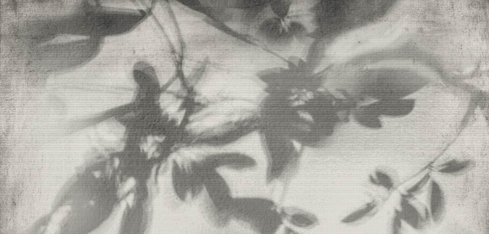 Gemusterte Dekorfliese ABK Wide&Style Shadow, 60x120 cm, 6 mm, matt