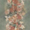 abk-wsrto-0017260-1