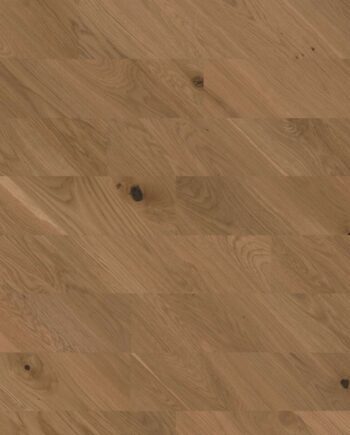 Chevron Parkett Bauwerk Spinpark Eiche Caramello 15 geölt geschliffen