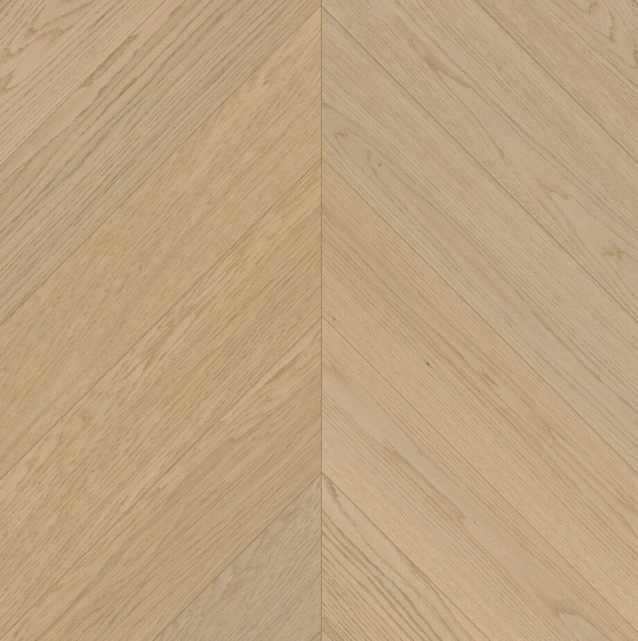 Chevron Parkett Eiche Esta Nova Eco Elite Dazy extramatt lackiert Chevron Parkett Eiche Esta Nova Eco Elite Dazy extramatt lackiert